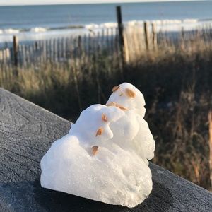 Meet your Posher, Danniel